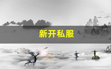 新开私服(sf999传奇新服网) (9)
