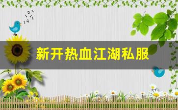 新开热血江湖私服 (6)