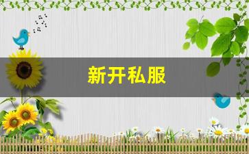 新开私服(传奇新开服网站大全) (2)