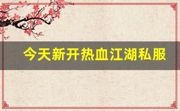 热血159：今天新开热血江湖私服 (2)