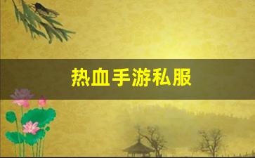 热血手游私服(热血手游交易平台) (3)
