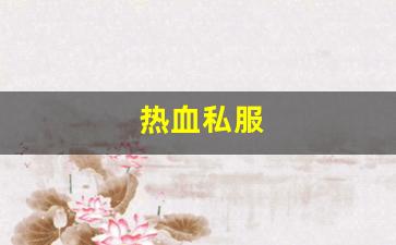 热血私服(热血官方) (3)