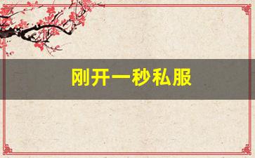 刚开一秒私服(最新刚开一秒传奇sf)