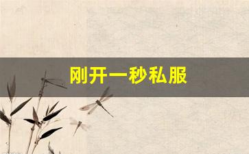 刚开一秒私服(最新刚开一秒传奇sf)