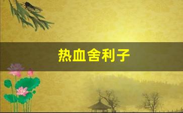热血舍利子(血肉舍利子) (5)