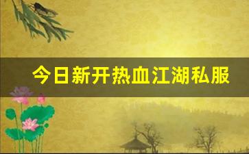 热血江湖私网：今日新开热血江湖私服 (10)