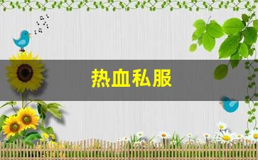 私服热血江湖：热血私服(热血游戏官网)