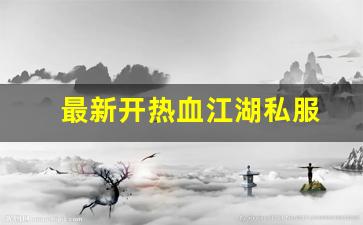 最新开热血江湖私服