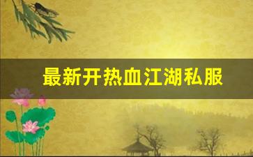 最新开热血江湖私服 (10)