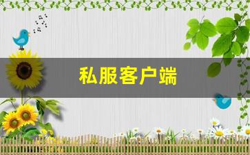 新开热血江湖私服：私服客户端 (12)
