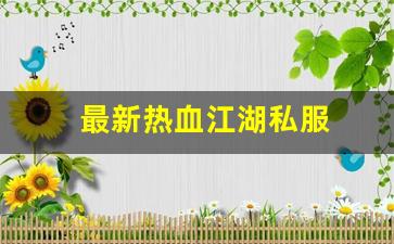 最新热血江湖私服 (12)