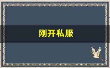 热血手游变态公益服发布网：刚开私服 (14)