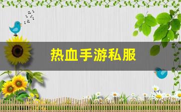新开热血江湖网站：热血手游私服(热血 手游) (2)