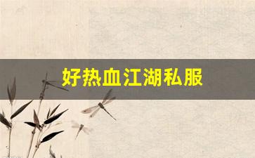 新开sf发布网：好热血江湖私服 (11)