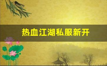 热血江湖私服新开 (16)