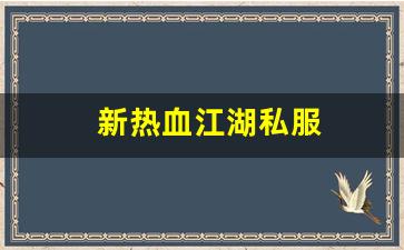 新热血江湖私服(新热血江湖online) (4)